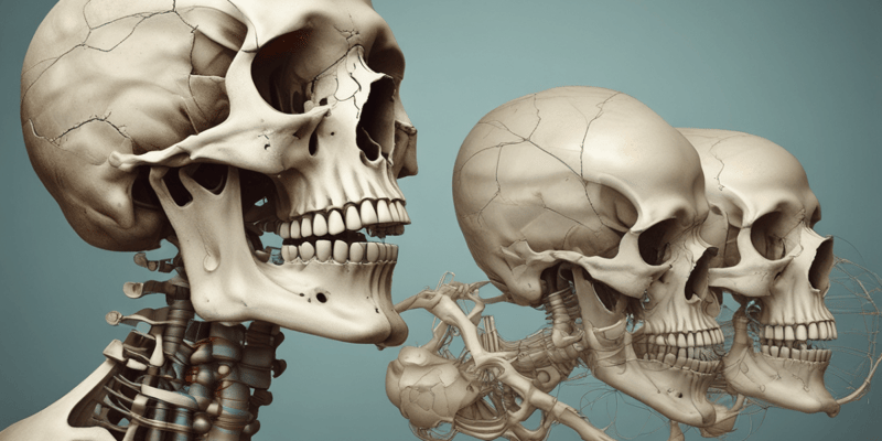 Osteology: The Study of Bones in Biology