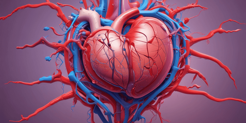 Cardiovascular Physiology Study Guide