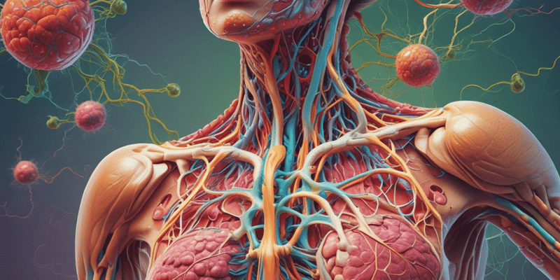 Lymphatic System and its Role in the Immune System