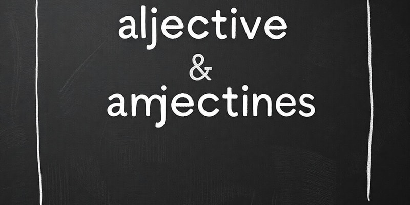 Adjectives and Their Uses