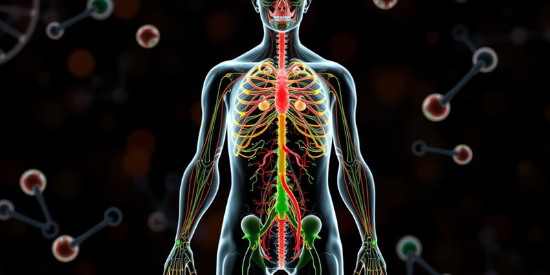 Overview of the Endocrine System