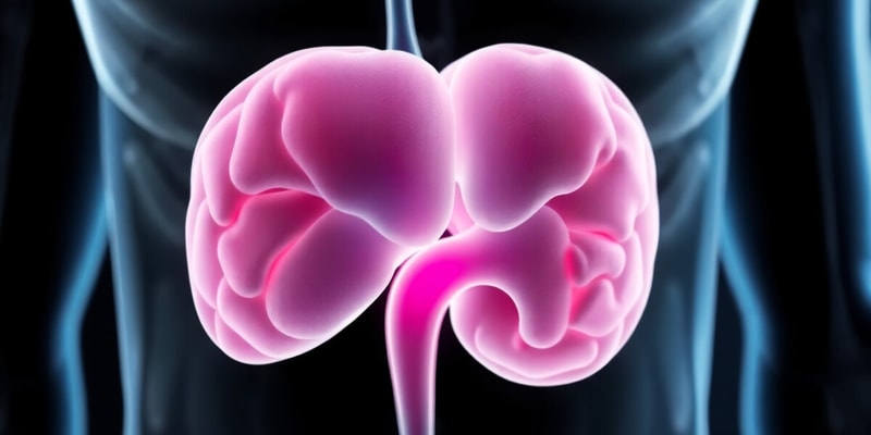 Adrenal Gland Functions and Hormones