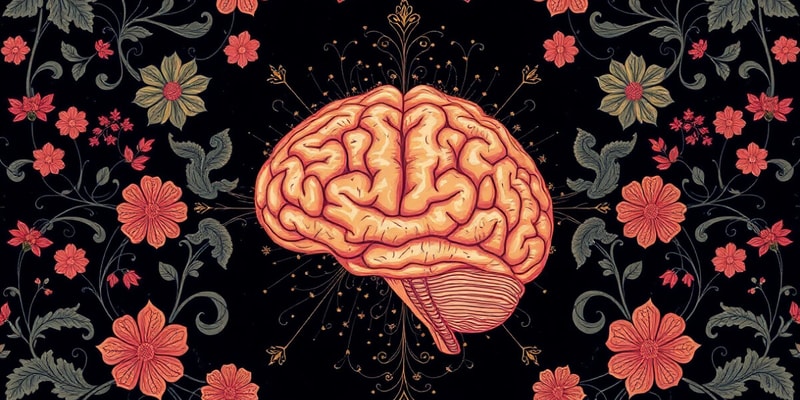 Neocortical Functions Overview