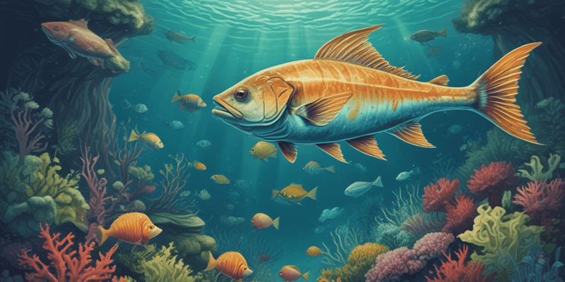 Big Fish: Types and Characteristics
