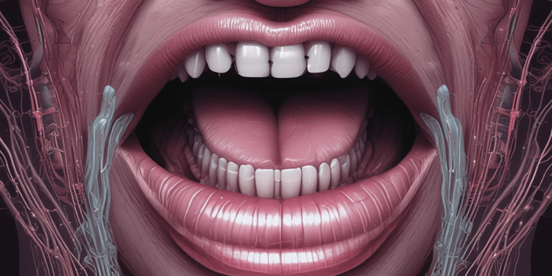 Human Anatomy: The Oral Cavity and Lips