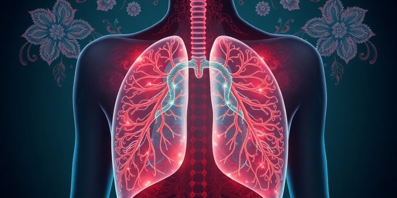 Funciones y Estructura del Aparato Respiratorio