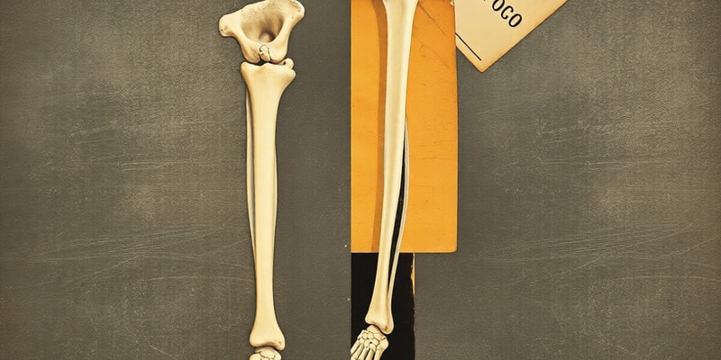 Bone Fractures and Osteoporosis Overview