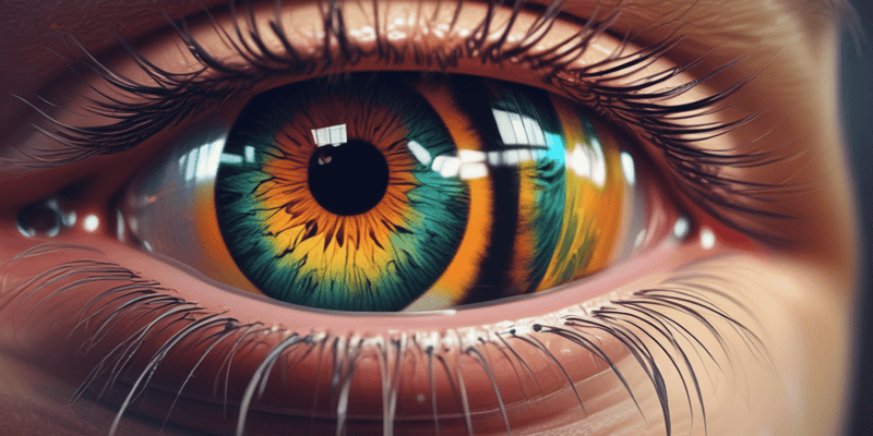 3)Senses and Vision - Photoreceptors and Eye Functions