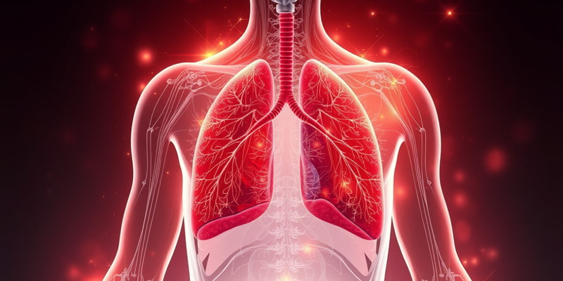 Quiz on the Respiratory System