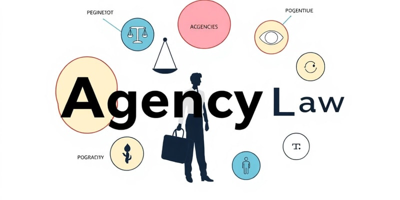 Agency Explained