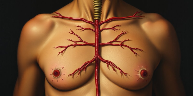 Sistema Endocrino: Glándulas y Funciones