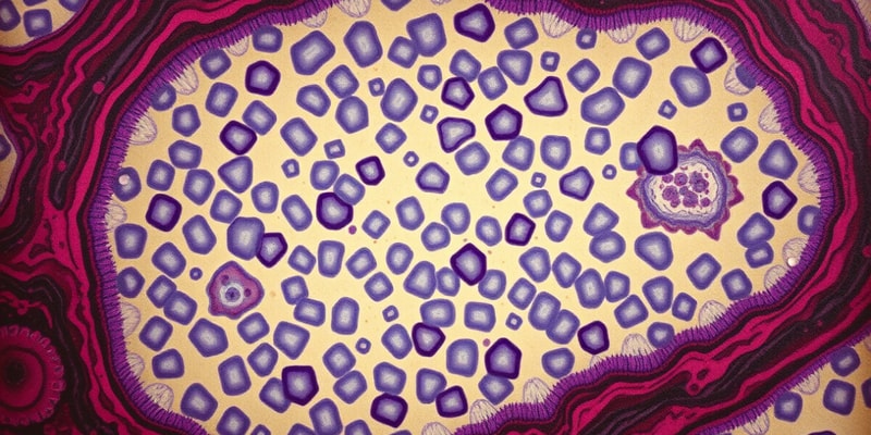 Histology: Cell Structure Quiz