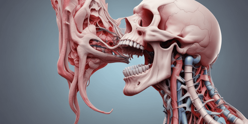 Anatomy of the Larynx Quiz