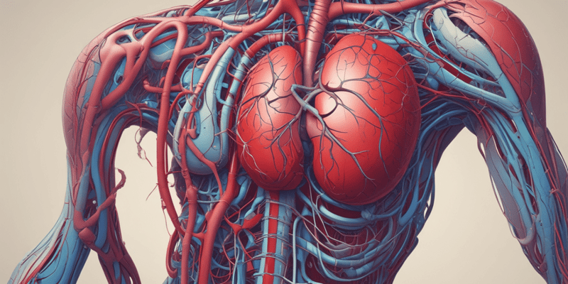 Blood Flow and Circulation