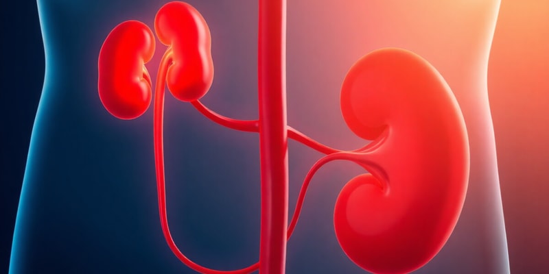 Renal Function and Failure Overview