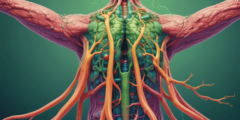 Lymphatic System and Immune Response Quiz