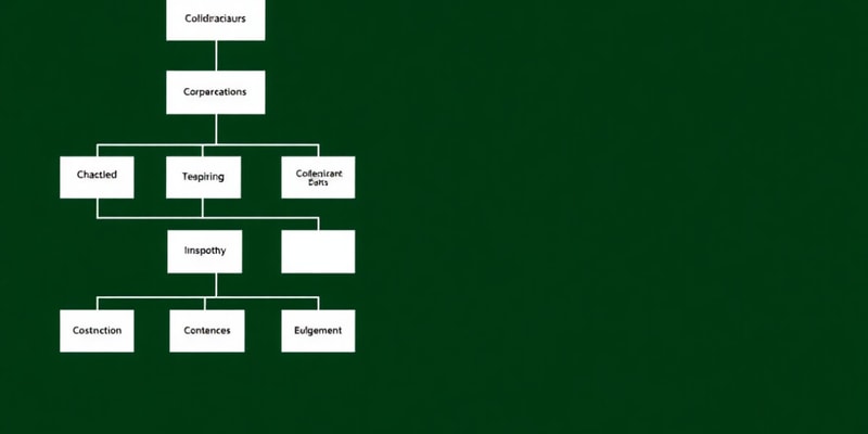 Organizational Structure Essentials