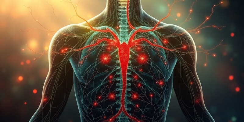 Endocrine System Overview