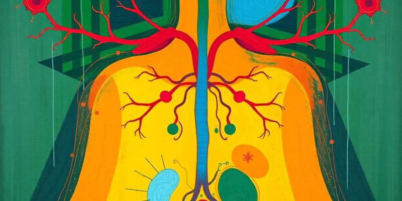 Endocrine System Function Quiz