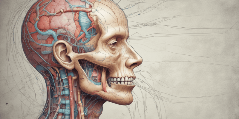 Neurology: Cranial Nerves Introduction