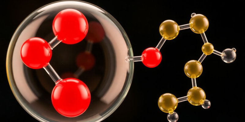 Overview of Lipids and Their Types