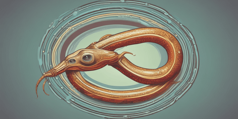 Ciclo biológico del Schistosoma mansoni