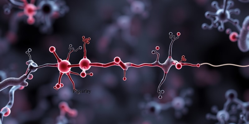 L6 Receptors as drug targets 3