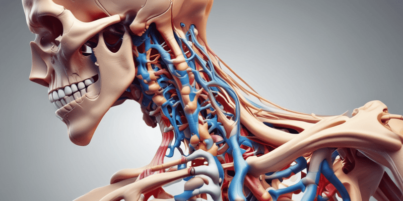 Structure and Functions of the Human Spine