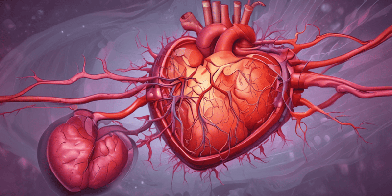 Cardiovascular Pathology: Endocarditis and Rheumatic Fever