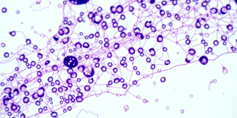 Cytopreparatory Techniques and Specimen Collection