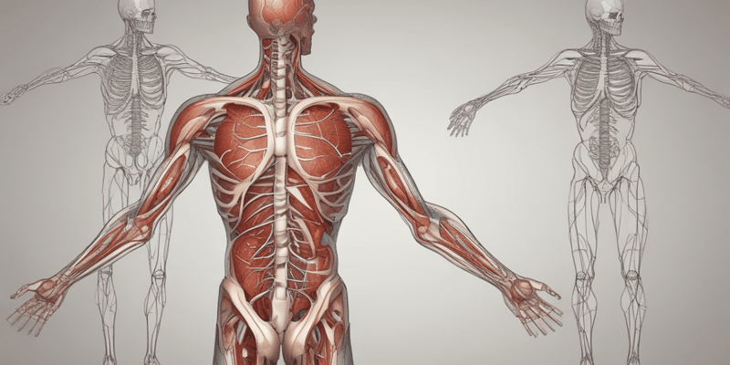 Understanding Body Systems