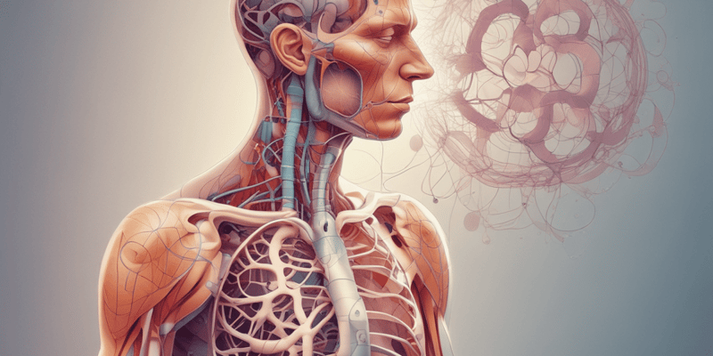 Respiratory Anatomy – Mechanics of Breathing 1.3
