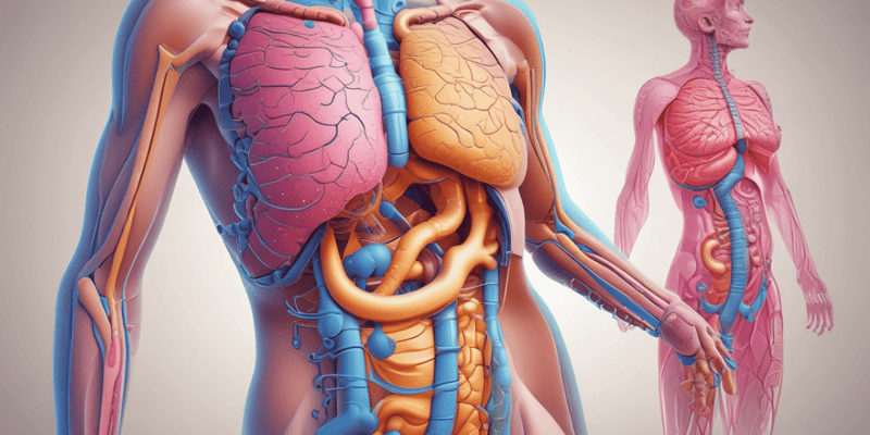 MBBS Year 1 Gastrointestinal Lectures