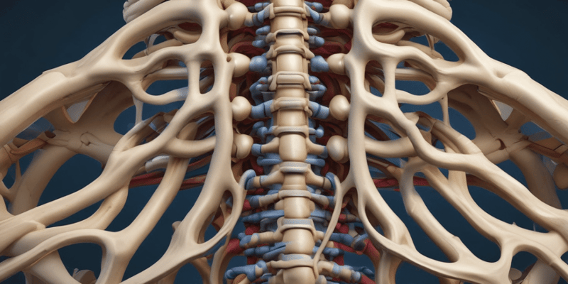 Vertebral Spine Mobility Quiz