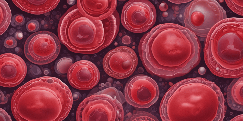 Blood Cell Production During Gestation