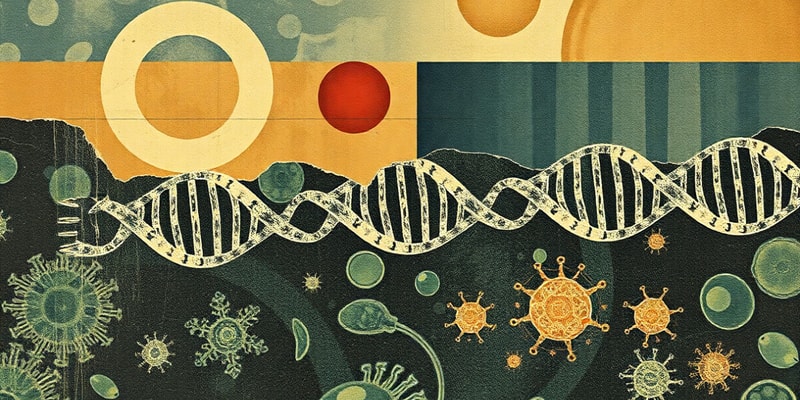 Human Cell DNA Quiz