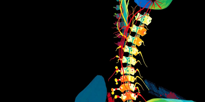 Cervical Plexus Overview Quiz