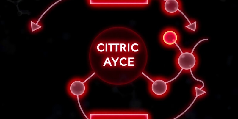 Harper's Biochemistry Chapter 16 - The Citric Acid Cycle