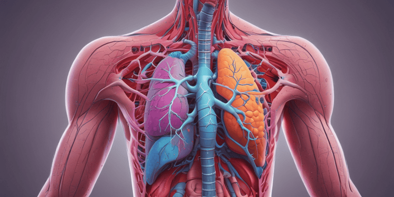 Respiratory System Chapter 22 Quiz