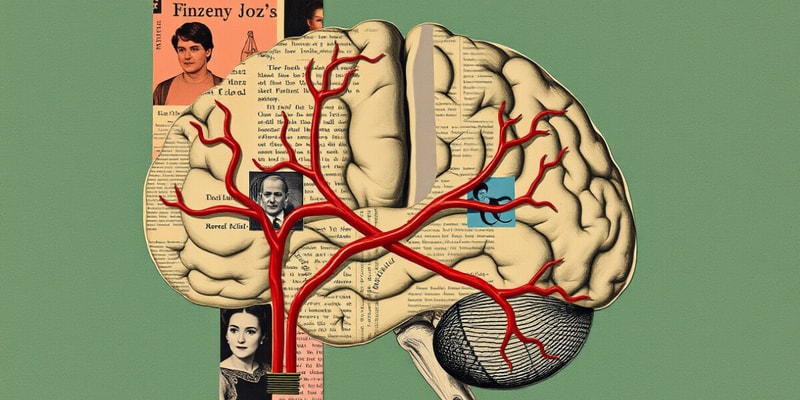 Vascularización y Compensación en Enfermedades Cerebrales