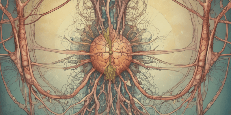 Autonomic Nervous System Mechanisms