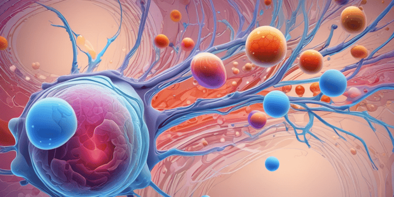 Stem Cell Differentiation and Transcription Factors