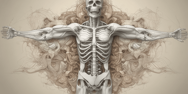 Human Anatomy: Pelvis and Perineum