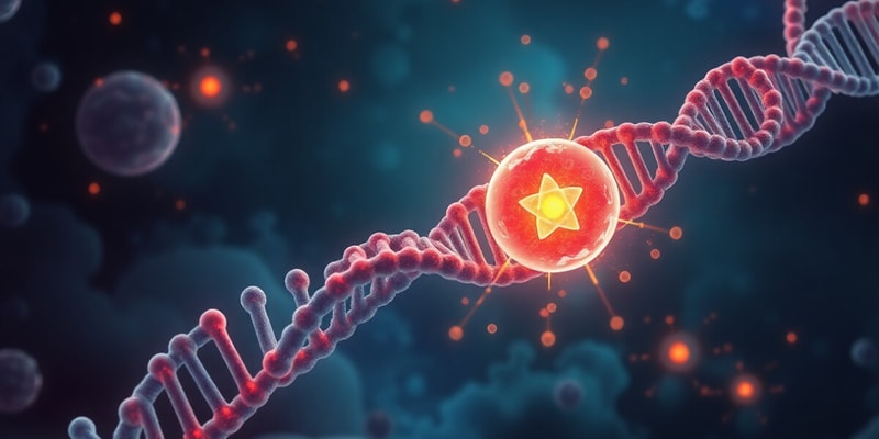 DNA Replication Process Overview