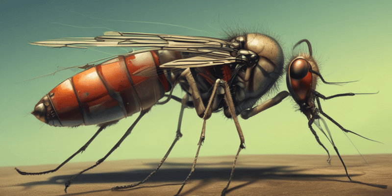 K12,13-Culicine Mosquitoes as Disease Vectors