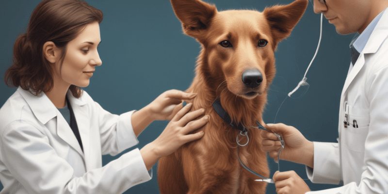 General Injection Techniques in Veterinary Medicine