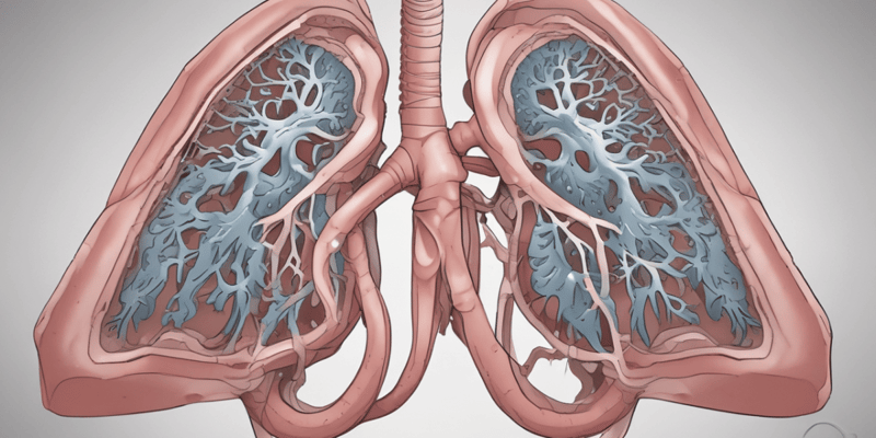 Respiratory System Disorders Quiz