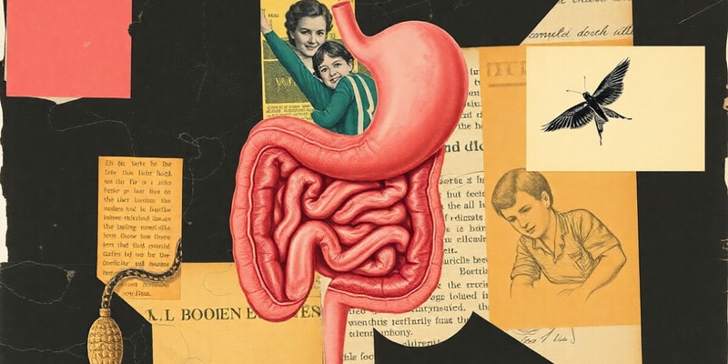 Digestive System Overview Quiz