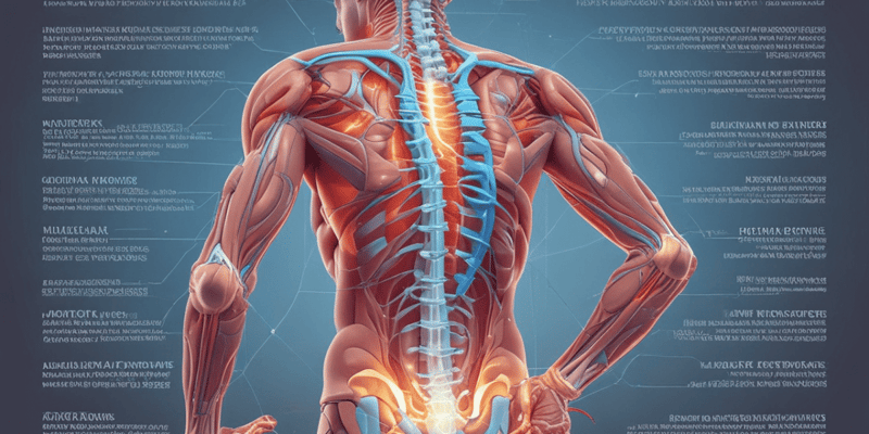 Lower Back Pain Diagnosis and Imaging