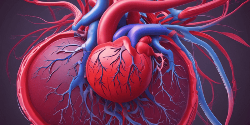 The Circulatory System: Structure, Function, and Diseases